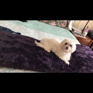 Meet your Posher, Christy jean